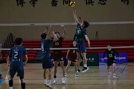 饼与