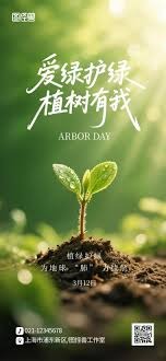 拒绝联手科比，当湖人的顶薪合同摆在面前：诺维茨基为何选择了打折留下？